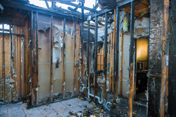 Professional Fire Damage Removal technician working in Darwin, MN